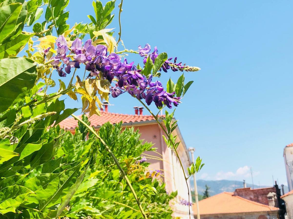 Guesthouse Old Town Xanthi Exteriér fotografie